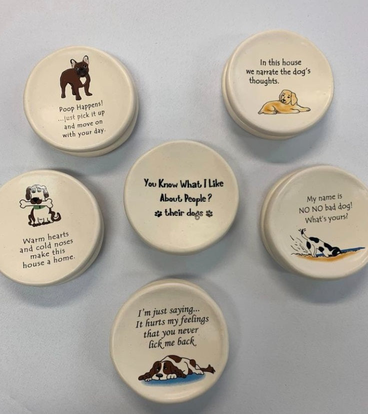 Funny Saying Pet Dish Asst