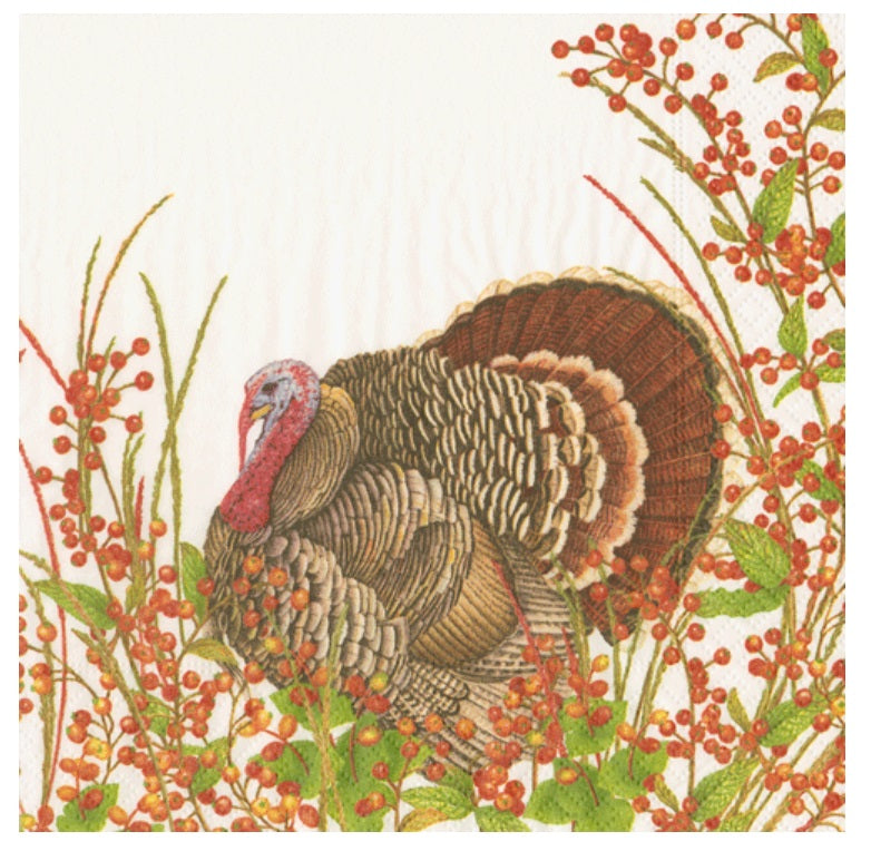 Turkey and Berries Napkin Cocktail