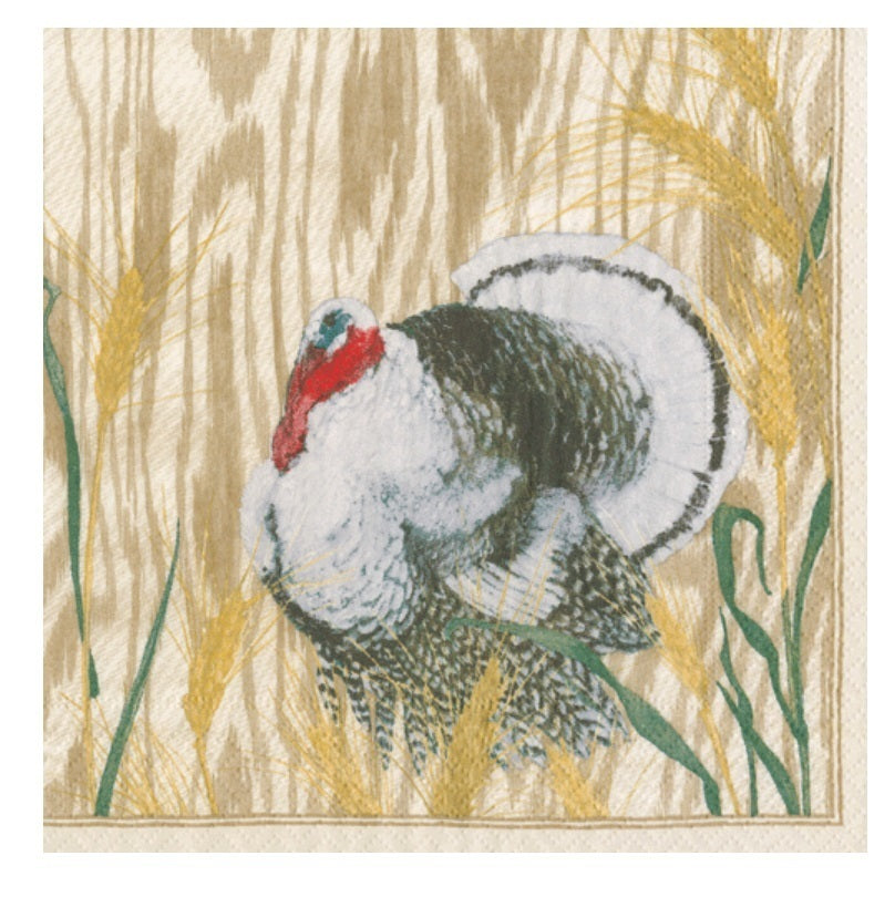 Turkey Taupe Boxed Cocktail Paper Napkin