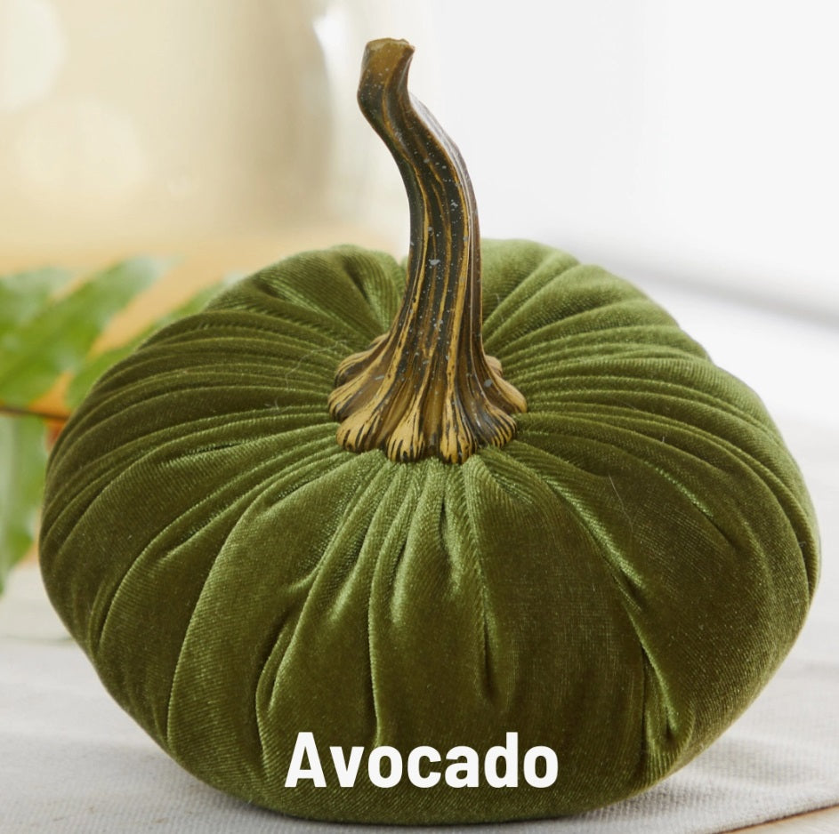 Velvet Avocado Pumpkin