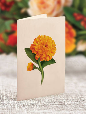 Pumpkin Spice  Pop-up Greeting Cards