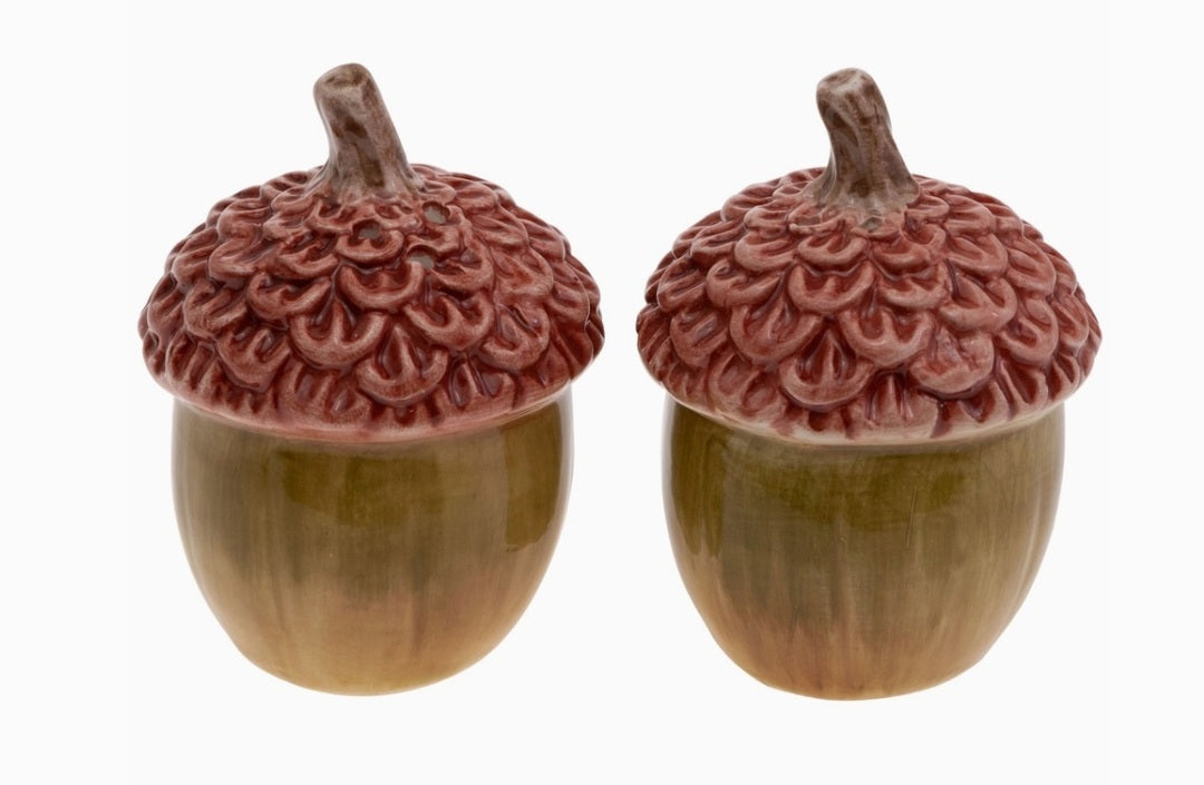 Bright Autumn Acorn Ceramic Salt And Pepper Set