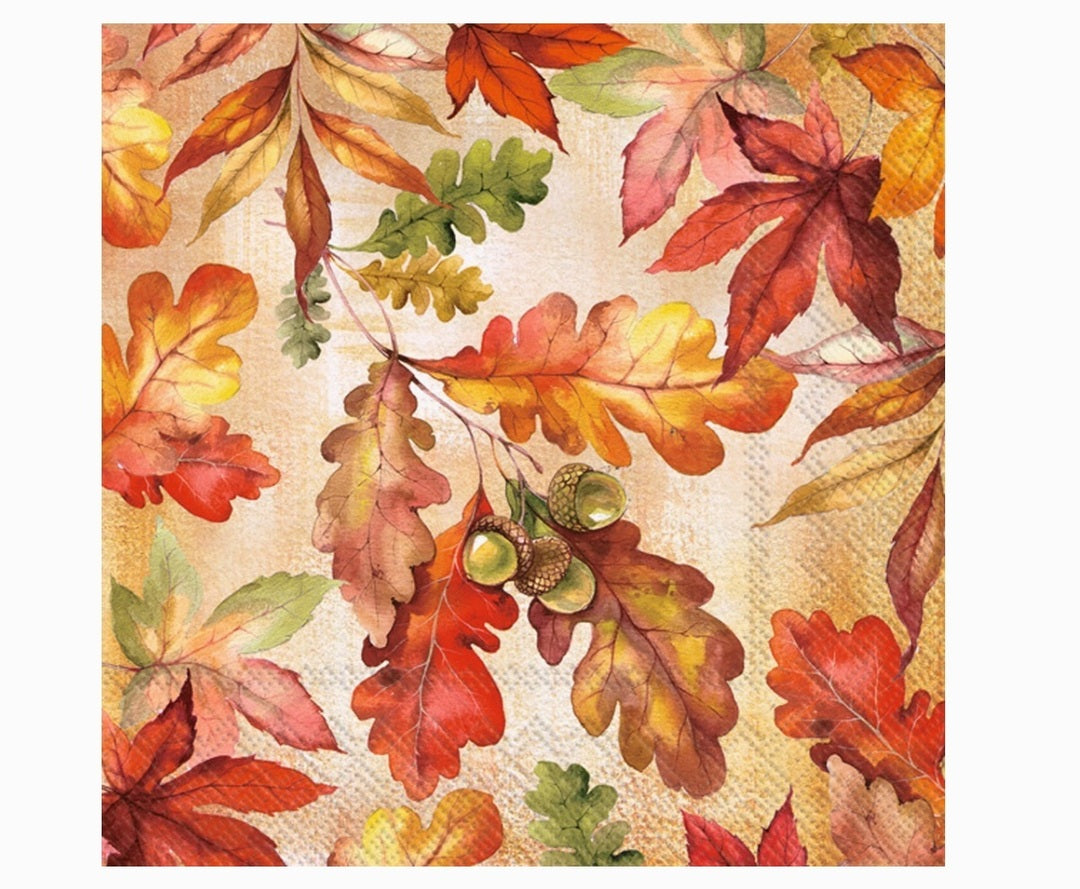 Bright Autumn Fall Cocktail Napkin 20ct