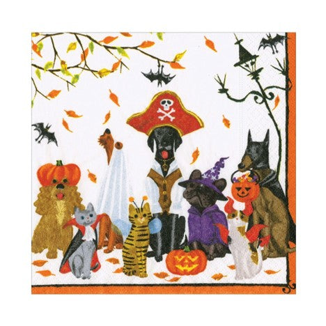 Halloween Pets Recycled Napkin Luncheon