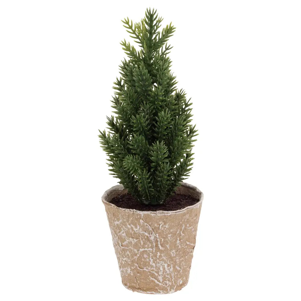 6.75" Tall Paper Pot Plain Pine Tree Christmas