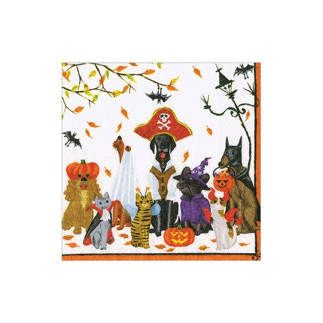 Halloween Pets Recycled Napkin Cocktail
