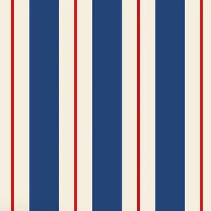 Navy Red Awning Stripe Guest Napkin
