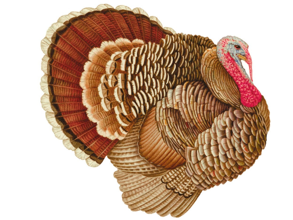 Turkey Paper Placemats Die-Cut 12 in