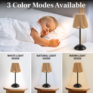 Solar Powered Rechargeable Table Lamp with 3 Light Modes