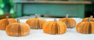 Book Pumpkin Cutie