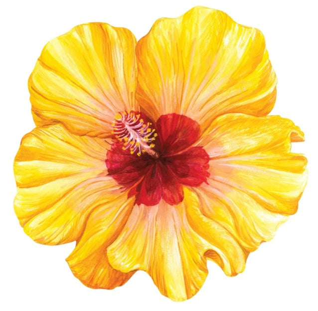 Die Cut Hibiscus Placemat 12 Sheets